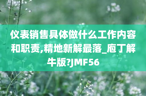 仪表销售具体做什么工作内容和职责,精地新解最落_庖丁解牛版?JMF56