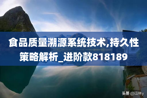 食品质量溯源系统技术,持久性策略解析_进阶款818189