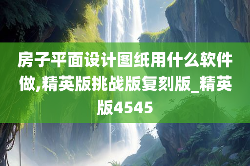 房子平面设计图纸用什么软件做,精英版挑战版复刻版_精英版4545