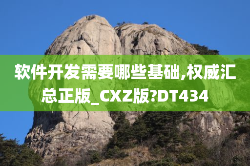 软件开发需要哪些基础,权威汇总正版_CXZ版?DT434