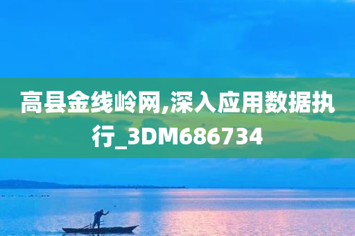 高县金线岭网,深入应用数据执行_3DM686734