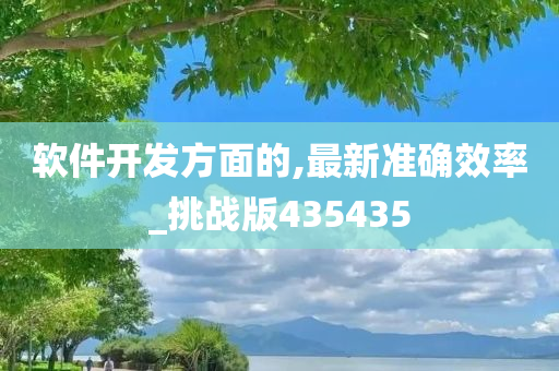 软件开发方面的,最新准确效率_挑战版435435