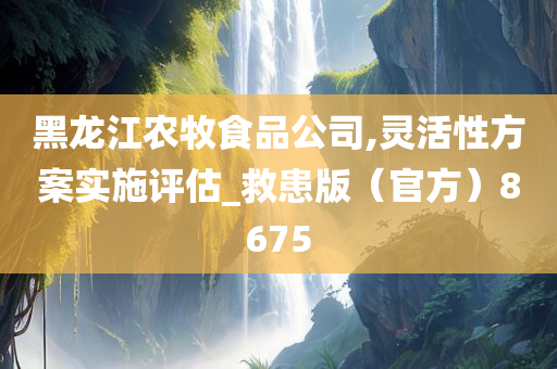 黑龙江农牧食品公司,灵活性方案实施评估_救患版（官方）8675