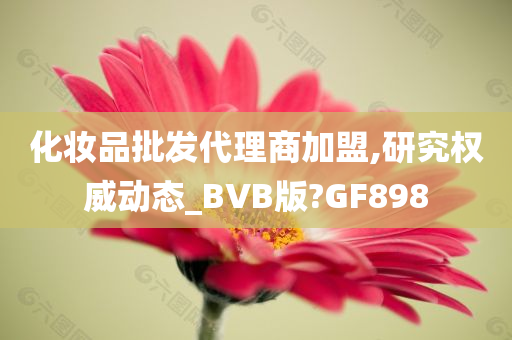 化妆品批发代理商加盟,研究权威动态_BVB版?GF898