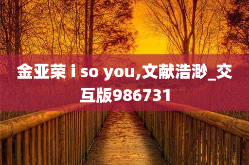 金亚荣 i so you,文献浩渺_交互版986731