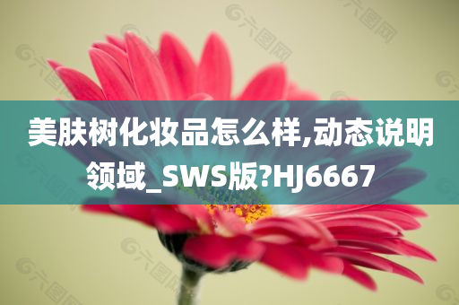 美肤树化妆品怎么样,动态说明领域_SWS版?HJ6667