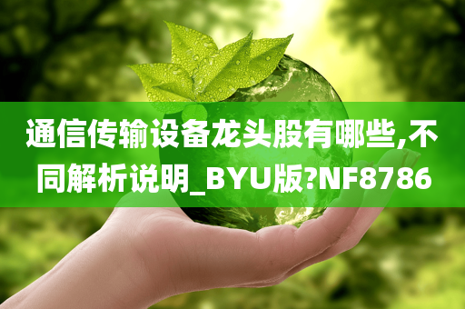 通信传输设备龙头股有哪些,不同解析说明_BYU版?NF8786