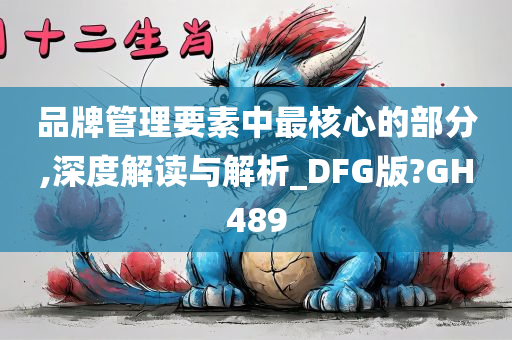 品牌管理要素中最核心的部分,深度解读与解析_DFG版?GH489