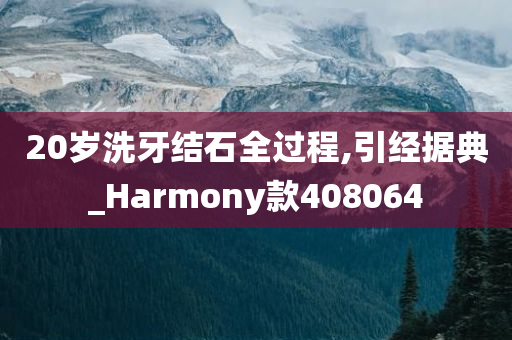 20岁洗牙结石全过程,引经据典_Harmony款408064