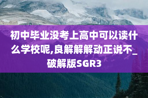 初中毕业没考上高中可以读什么学校呢,良解解解动正说不_破解版SGR3