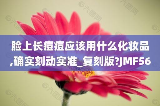 脸上长痘痘应该用什么化妆品,确实刻动实准_复刻版?JMF56