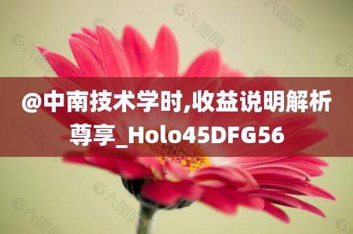 @中南技术学时,收益说明解析尊享_Holo45DFG56