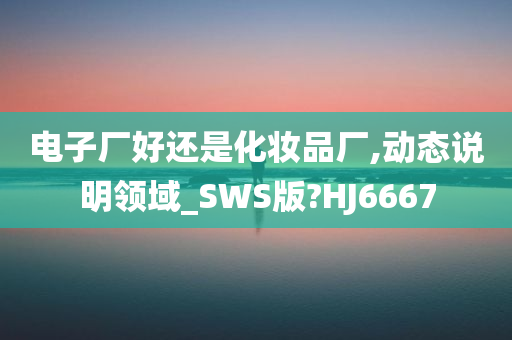 电子厂好还是化妆品厂,动态说明领域_SWS版?HJ6667