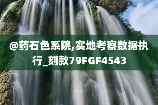 @药石色系院,实地考察数据执行_刻款79FGF4543