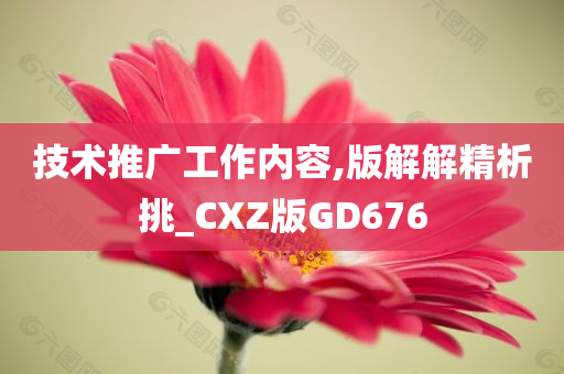 技术推广工作内容,版解解精析挑_CXZ版GD676