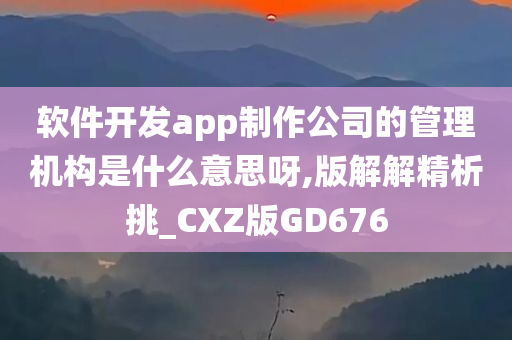 软件开发app制作公司的管理机构是什么意思呀,版解解精析挑_CXZ版GD676