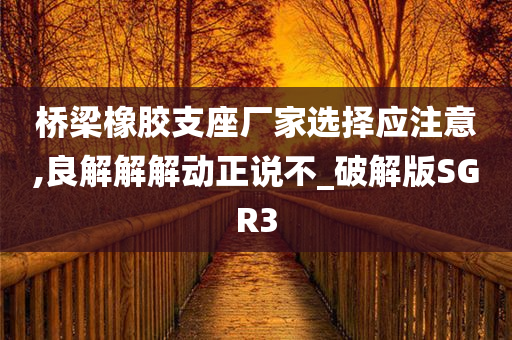 桥梁橡胶支座厂家选择应注意,良解解解动正说不_破解版SGR3