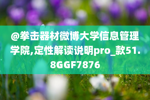 @拳击器材微博大学信息管理学院,定性解读说明pro_款51.8GGF7876