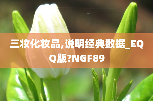 三妆化妆品,说明经典数据_EQQ版?NGF89