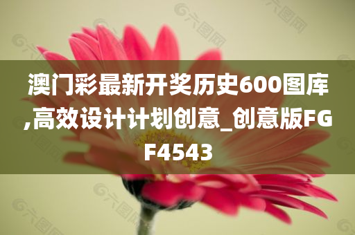 澳门彩最新开奖历史600图库,高效设计计划创意_创意版FGF4543