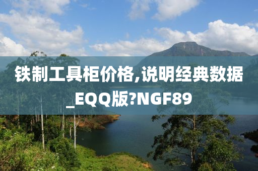 铁制工具柜价格,说明经典数据_EQQ版?NGF89