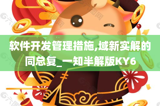 软件开发管理措施,域新实解的同总复_一知半解版KY6