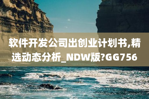 软件开发公司出创业计划书,精选动态分析_NDW版?GG756