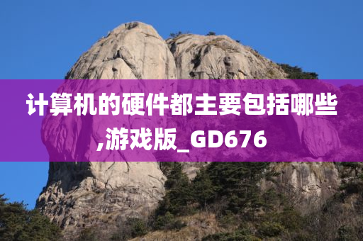 计算机的硬件都主要包括哪些,游戏版_GD676