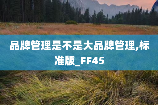 品牌管理是不是大品牌管理,标准版_FF45