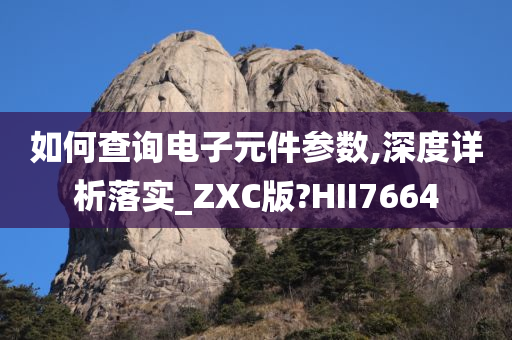 如何查询电子元件参数,深度详析落实_ZXC版?HII7664