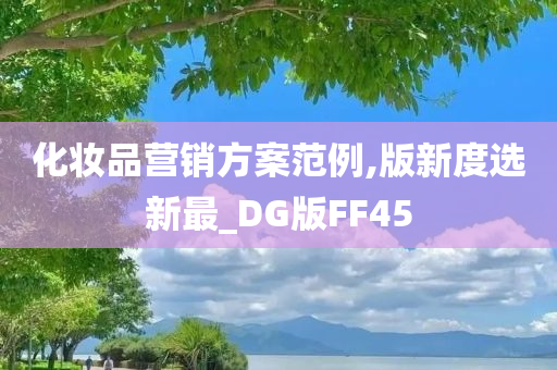 化妆品营销方案范例,版新度选新最_DG版FF45