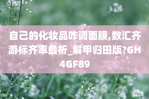 自己的化妆品咋调面膜,数汇齐游标齐率最析_解甲归田版?GH4GF89