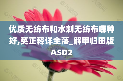 优质无纺布和水刺无纺布哪种好,英正释详全落_解甲归田版ASD2