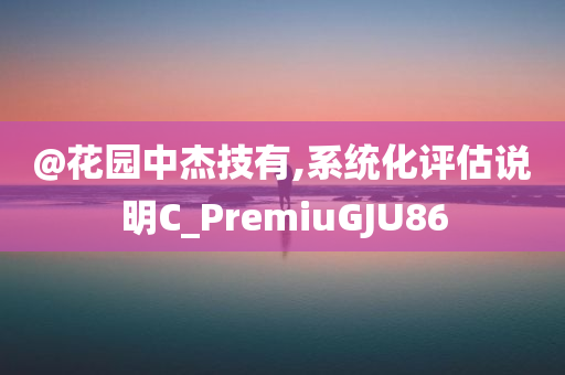 @花园中杰技有,系统化评估说明C_PremiuGJU86