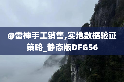 @雷神手工销售,实地数据验证策略_静态版DFG56