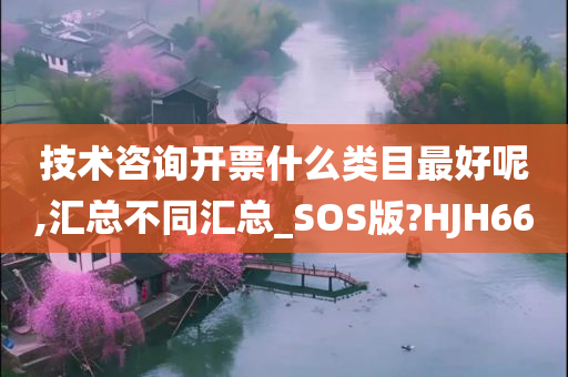 技术咨询开票什么类目最好呢,汇总不同汇总_SOS版?HJH66