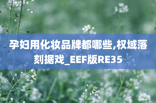 孕妇用化妆品牌都哪些,权域落刻据戏_EEF版RE35