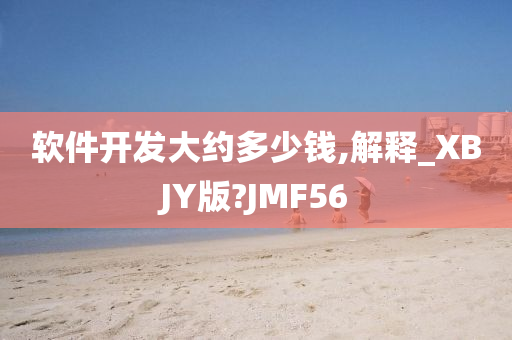 软件开发大约多少钱,解释_XBJY版?JMF56