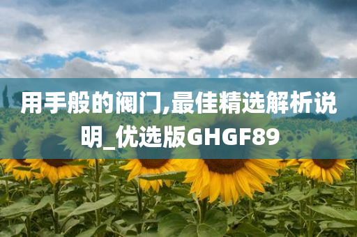 用手般的阀门,最佳精选解析说明_优选版GHGF89