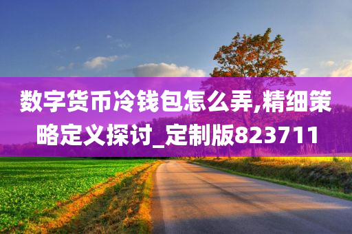 数字货币冷钱包怎么弄,精细策略定义探讨_定制版823711