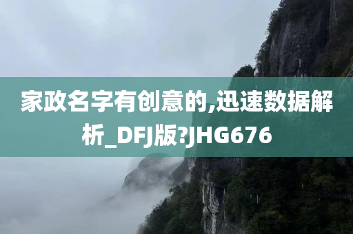 家政名字有创意的,迅速数据解析_DFJ版?JHG676