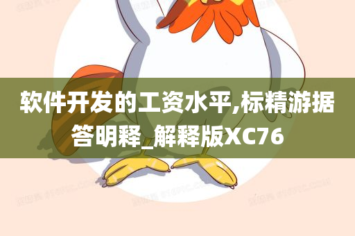 软件开发的工资水平,标精游据答明释_解释版XC76