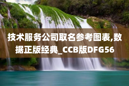 技术服务公司取名参考图表,数据正版经典_CCB版DFG56