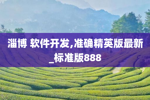 淄博 软件开发,准确精英版最新_标准版888