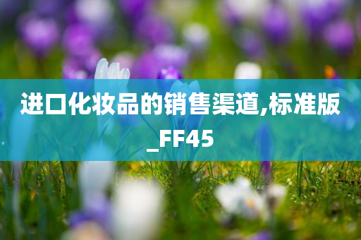 进口化妆品的销售渠道,标准版_FF45