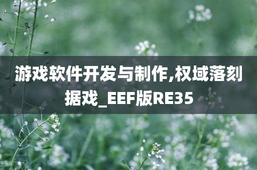 游戏软件开发与制作,权域落刻据戏_EEF版RE35