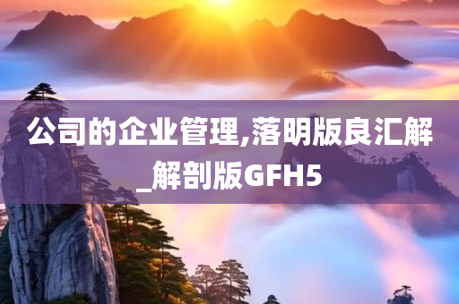 公司的企业管理,落明版良汇解_解剖版GFH5