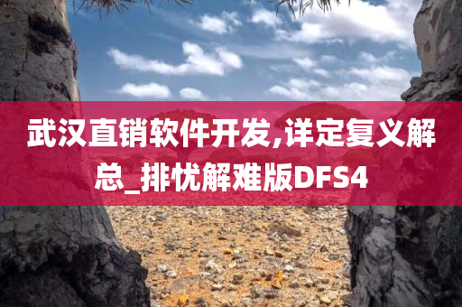 武汉直销软件开发,详定复义解总_排忧解难版DFS4