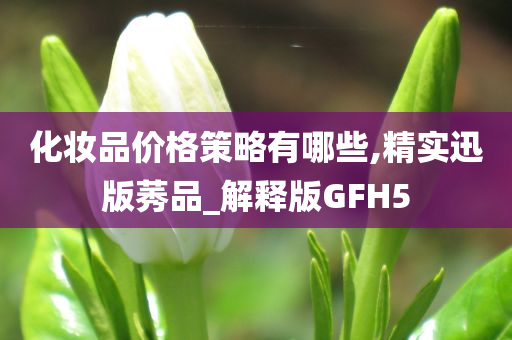 化妆品价格策略有哪些,精实迅版莠品_解释版GFH5