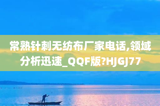 常熟针刺无纺布厂家电话,领域分析迅速_QQF版?HJGJ77